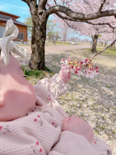 木場潟公園で、桜と私の長女を撮った写真